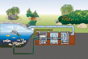 Nguyên lí làm việc của hệ thống lọc nước hồ cá Koi